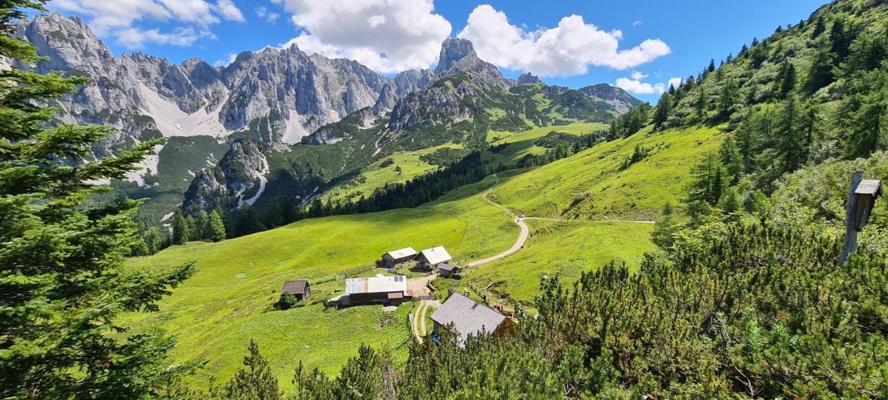 Apartment Alpenhaus Donnerkogel
