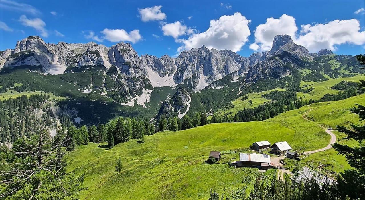 Alpenhaus Donnerkogel Apartment