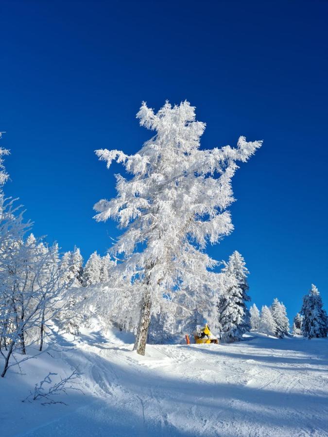 Alpenhaus Donnerkogel